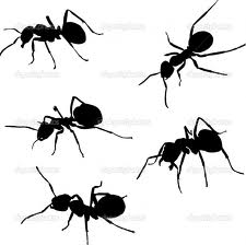 myre dating steder)