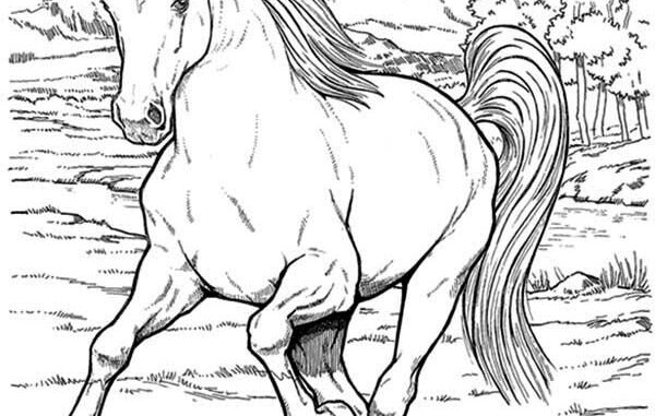 Hest tegning